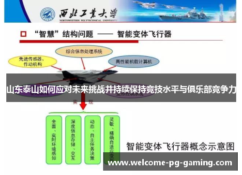 山东泰山如何应对未来挑战并持续保持竞技水平与俱乐部竞争力