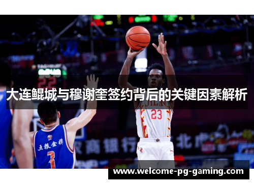 大连鲲城与穆谢奎签约背后的关键因素解析