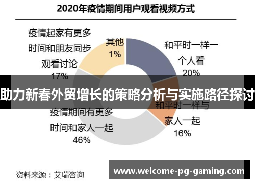 助力新春外贸增长的策略分析与实施路径探讨