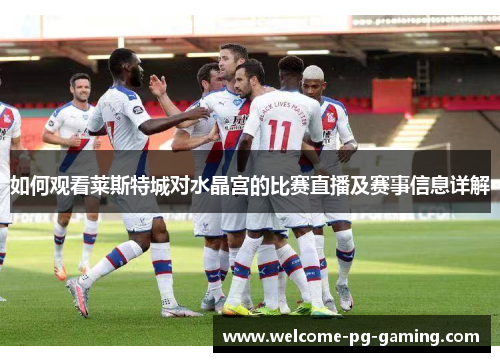如何观看莱斯特城对水晶宫的比赛直播及赛事信息详解