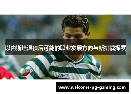 以内斯塔退役后可能的职业发展方向与新挑战探索