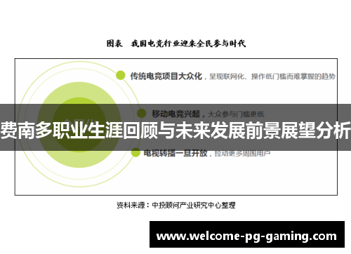 费南多职业生涯回顾与未来发展前景展望分析