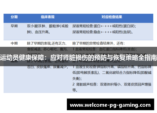 运动员健康保障：应对肾脏损伤的预防与恢复策略全指南