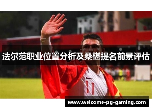 法尔范职业位置分析及桑椹提名前景评估