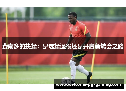 费南多的抉择:是选择退役还是开启新转会之路 费南多的抉择:是选择退役还是开启新转会之路