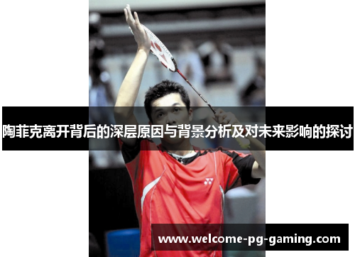 陶菲克离开背后的深层原因与背景分析及对未来影响的探讨